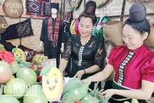 Tại Ngày hội Xoài Yên Châu năm nay có 15 gian trưng bày các sản phẩm đặc sản của các xã và huyện.