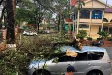 Tại thành phố Sơn La vẫn chưa có thống kê về thiệt hại, nhưng mưa to, gió lốc đã làm nhiều cây xanh đổ, gẫy, ảnh hưởng đến tài sản người dân. (Ảnh: Người dân cung cấp).