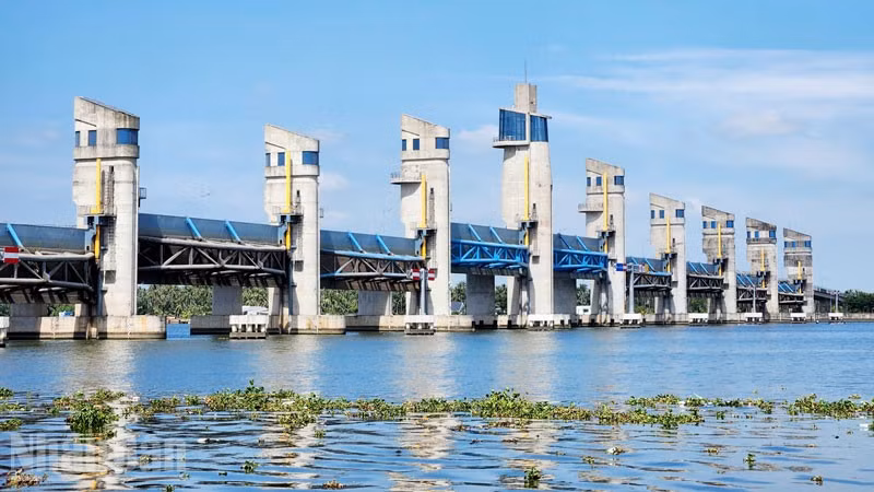Cống Cái Lớn chủ động vận hành phục vụ sản xuất và sinh hoạt của người dân.