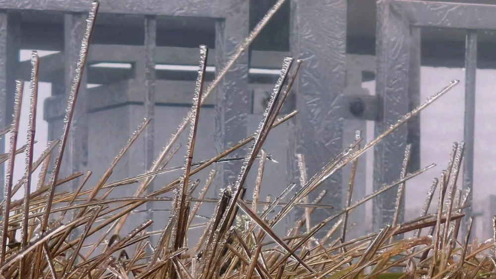 Hiện tượng băng giá đã xuất hiện tại đỉnh Mẫu Sơn.