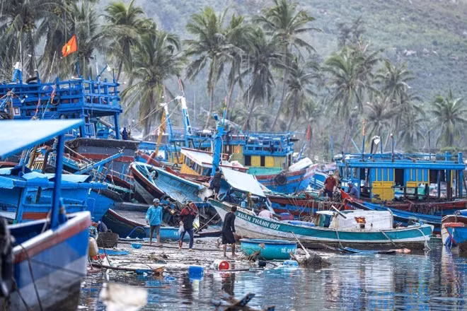 Hàng trăm tàu bè hư hỏng, bị sóng đánh dạt vào bờ tại khu vực Vũng Chào, Sông Cầu, tỉnh Đắk Lắk sau bão số 13. (Ảnh: LÂM PHAN)