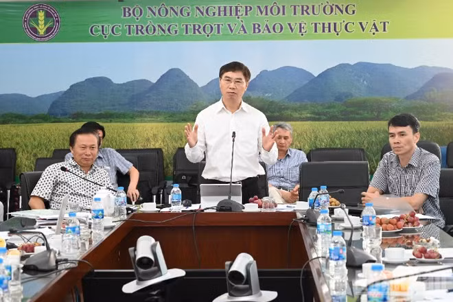 Ông Nguyễn Quý Dương, Phó Cục trưởng Cục Trồng trọt và Bảo vệ thực vật phát biểu tại Hội thảo. 