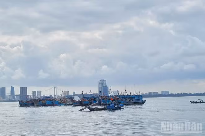 Ban Chỉ đạo Phòng thủ dân sự quốc gia đề nghị Ủy ban nhân dân các tỉnh, thành phố ven biển từ Quảng Ninh đến An Giang chủ động triển khai các biện pháp ứng phó, hạn chế thiệt hại.