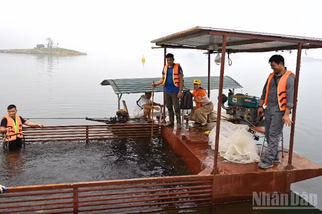 Miền bắc được đánh giá là khu vực có điều kiện thuận lợi nhất cả nước để phát triển nuôi trồng thủy sản hồ chứa.