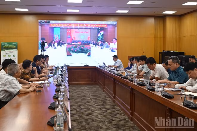 Hội nghị triển khai thực hiện Nghị quyết số 36/2026/NQ-CP của Chính phủ về đơn giản hóa thủ tục hành chính đối với mã số vùng trồng, mã số cơ sở đóng gói ngày 4/8.