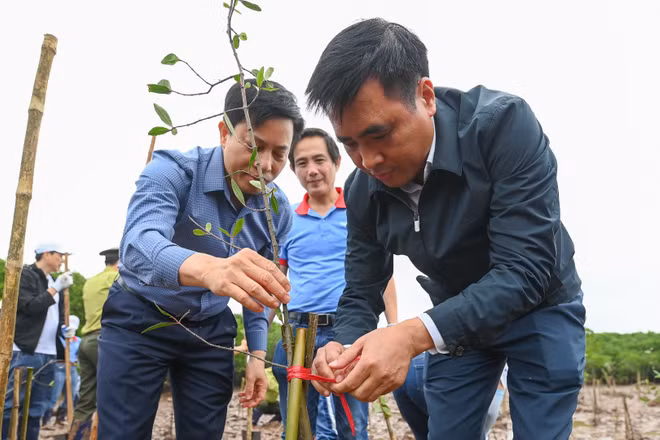 Thứ trưởng Bộ Nông nghiệp và Môi trường Nguyễn Quốc Trị trồng cây tại sự kiện.