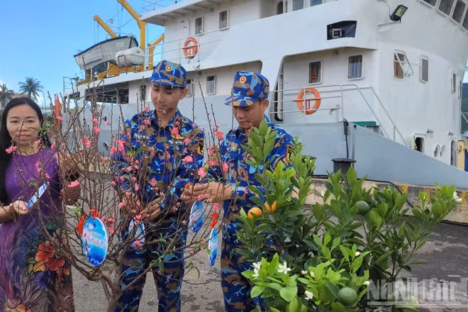 Những cây quất đào mang mùa Xuân đến với các cán bộ chiến sĩ và nhân dân hai đặc khu Cồn Cỏ và Lý Sơn.