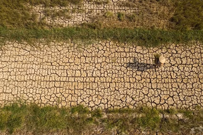 Bộ Nông nghiệp và môi trường nhận định hiện tượng El Nino sớm gây nguy cơ thiếu hụt nguồn nước trong thời gian tới. (Ảnh: TTXVN)