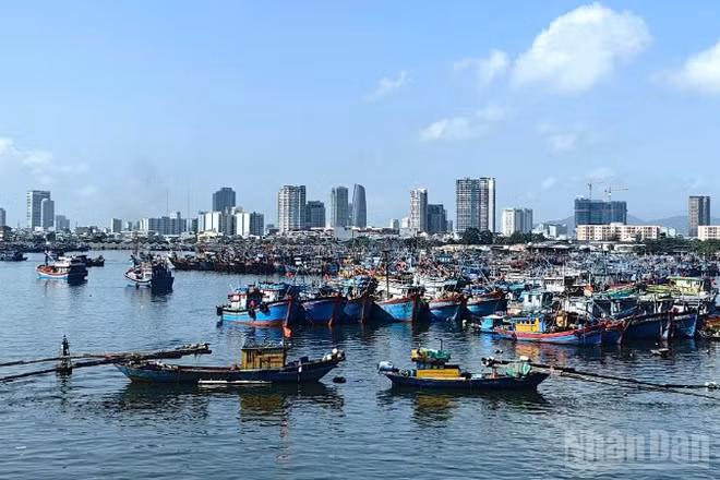 Đến chiều 3/7, hơn 56.000 tàu thuyền với trên 249.000 lao động đã được thông báo, hướng dẫn tránh bão; nhiều địa phương đã ban hành lệnh cấm biển, chủ động bảo đảm an toàn về người và tài sản.
