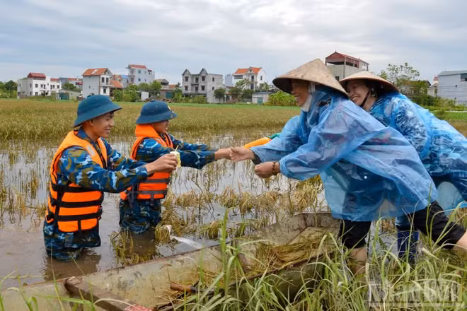 Các địa phương ven biển chủ động ứng phó với bão số 4 mạnh cấp 8.