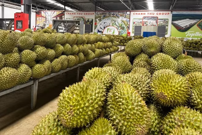 Đơn giản hóa cấp mã số vùng trồng, cơ sở đóng gói, chuyển mạnh từ tiền kiểm sang hậu kiểm, tạo thuận lợi cho xuất khẩu nông sản.
