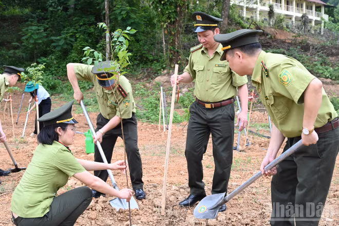 Trồng cây hưởng ứng Ngày Thế giới chống sa mạc hóa và hạn hán năm 2026.