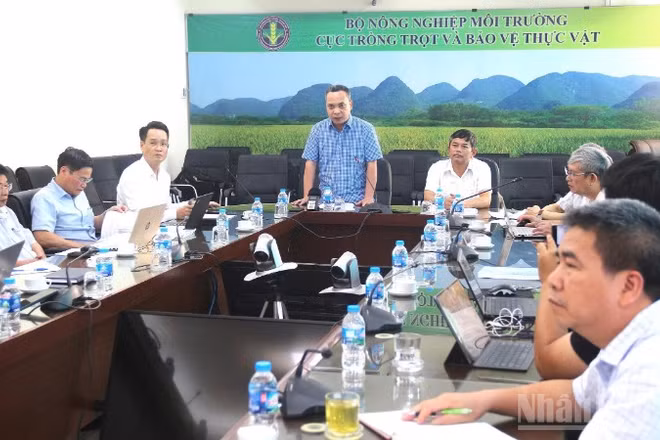 Hội nghị triển khai thực hiện các nghị quyết của Chính phủ và thông tư của Bộ Nông nghiệp và Môi trường về phân cấp, phân quyền, cắt giảm điều kiện đầu tư kinh doanh, đơn giản hóa thủ tục hành chính trong lĩnh vực trồng trọt, bảo vệ và kiểm dịch thực vật chiều 8/6.