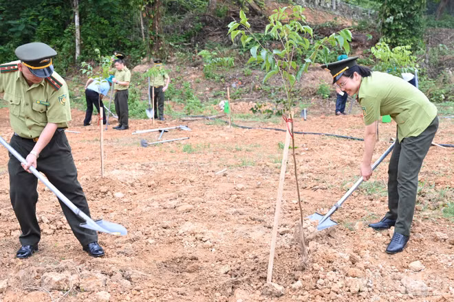 Thoái hóa đất đe dọa sản xuất nông nghiệp, sinh kế và an ninh lương thực, đòi hỏi thay đổi cách ứng xử, tôn trọng giới hạn sinh thái và bảo vệ đất như nguồn vốn tự nhiên cho tương lai.