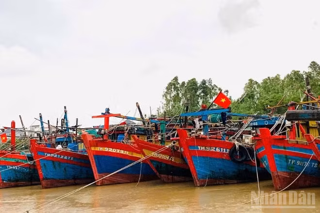 Hiện bốn địa phương Quảng Ninh, Hải Phòng, Hưng Yên và Ninh Bình đã ban hành lệnh cấm biển.