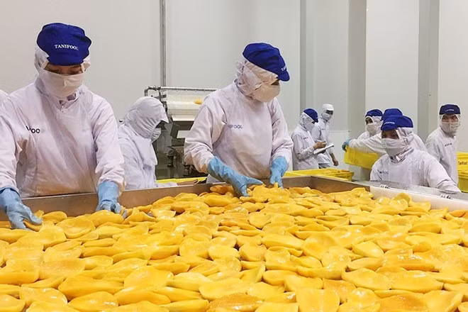 Chế biến trái cây tại nhà máy Tanifood, huyện Gò Dầu, tỉnh Tây Ninh. (Ảnh: nhandan.vn)