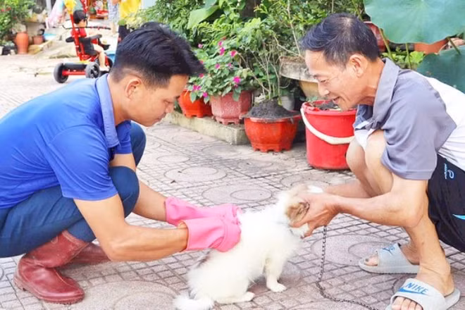 Năm 2024, cả nước ghi nhận 89 ca tử vong do bệnh dại, tất cả đều không tiêm phòng, chủ yếu do chó, mèo lây bệnh. (Ảnh: nhandan.vn)