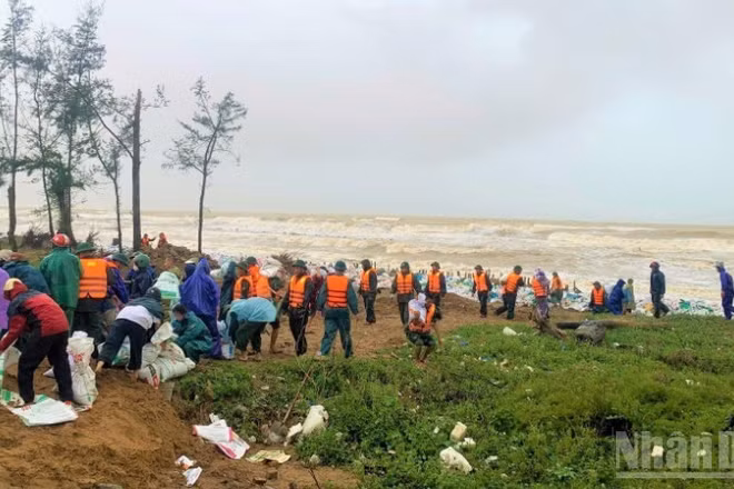 Bộ Nông nghiệp và Môi trường đề nghị các địa phương khẩn trương xử lý, huy động lực lượng, vật tư, phương tiện, sẵn sàng phương án bảo vệ trọng điểm xung yếu. (Ảnh: NGÔ TUẤN)
