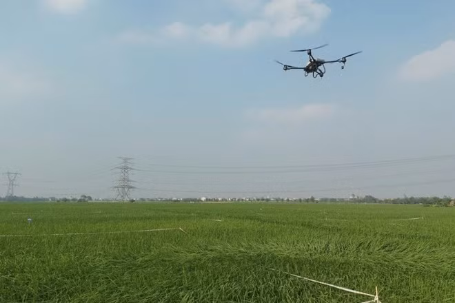 Sử dụng Drone phun thuốc bảo vệ thực vật. (Ảnh: BÍCH HỒNG)