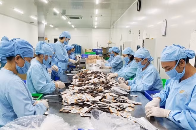Tiêu dùng xanh gõ cửa, thương mại điện tử trước thách thức bền vững.