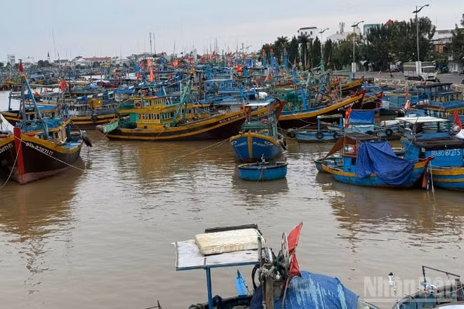 Ban Chỉ đạo Phòng thủ dân sự quốc gia đã yêu cầu các tỉnh, thành phố từ Đà Nẵng đến Khánh Hòa và các bộ, ngành liên quan khẩn trương triển khai các biện pháp ứng phó cấp bách với bão số 13.