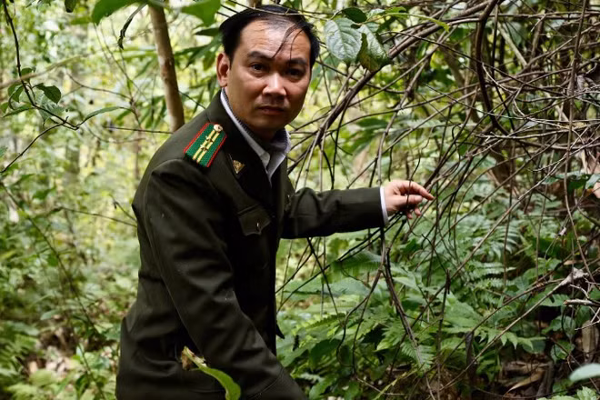 Những ngày Tết, khi nhà nhà sum họp cũng là lúc lực lượng kiểm lâm tại các khu rừng ở Thái Nguyên bước vào cao điểm tuần tra, trực bảo vệ rừng.