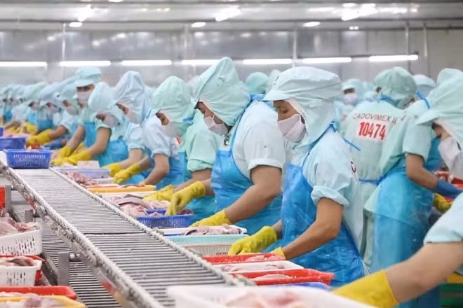 Mở rộng cánh cửa xuất khẩu sang Trung Đông và Nam Á nhờ các FTA thế hệ mới.