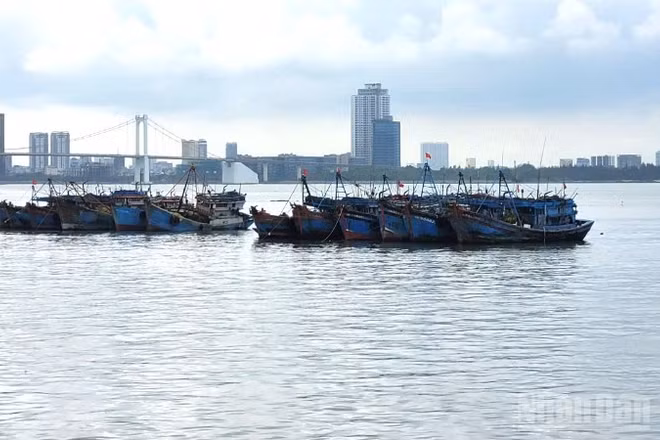 Phó Thủ tướng Trần Hồng Hà ký Công điện số 18/CĐ-TTg ngày 25/2/2026 về việc tập trung chuẩn bị làm việc với Đoàn Thanh tra của Ủy ban châu Âu (EC) lần thứ 5, quyết tâm gỡ cảnh báo “thẻ vàng” đối với thủy sản Việt Nam.