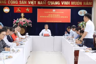 Ủy ban Mặt trận Tổ quốc Việt Nam Thành phố Hồ Chí Minh đã có buổi làm việc với lãnh đạo các sở, ngành, tổ chức chính trị-xã hội trên địa bàn nhằm đánh giá tình hình, triển khai công tác hỗ trợ cho các địa phương bị ảnh hưởng bởi cơn bão số 3 vừa qua (Ảnh: Vũ Hoàng)