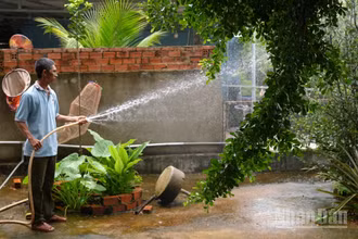 Anh Trương Hiếu Nghĩa, người dân xã Định Thành, huyện Dầu Tiếng, tỉnh Bình Dương dùng nguồn nước ngọt tưới vườn cây ăn trái của gia đình.