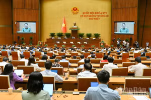 Quốc hội làm việc tại hội trường nghe Tờ trình và Báo cáo thẩm tra dự án Bộ luật Hình sự (sửa đổi). (Ảnh: THỦY NGUYÊN)