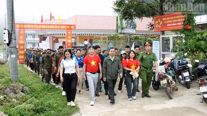 ndo_tr_avuong1.jpg