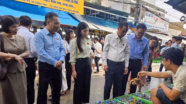 Đoàn giám sát Hội đồng nhân dân Thành phố kiểm tra, giám sát tại chợ hải sản Xóm Lưới. (Ảnh: Lê Đình Thìn) 