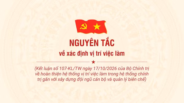 [Infographic] Nguyên tắc về xác định vị trí việc làm