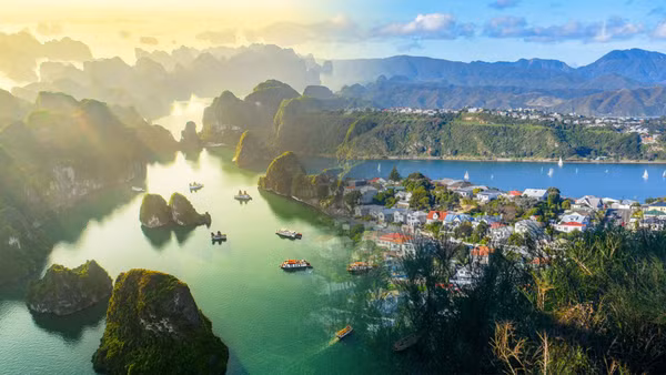 [Infographic] Quan hệ Đối tác chiến lược toàn diện Việt Nam-New Zealand