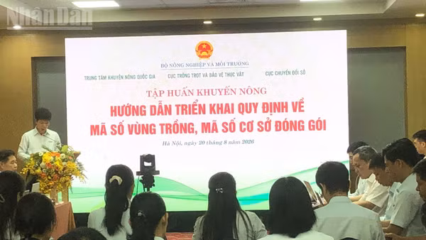Quang cảnh buổi tập huấn.