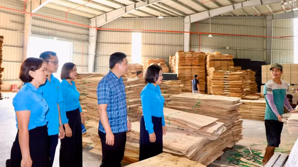 Liên đoàn Lao động tỉnh khảo sát, nắm tình hình tại Công ty TNHH Vietforest Bắc Kạn. (Ảnh: THU HUỆ).