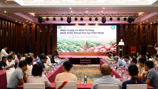 Quang cảnh tọa đàm.