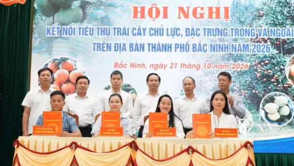 Các đơn vị ký kết tiêu thụ trái cây vụ mùa 2026 tại hội nghị. (Ảnh: ĐT)