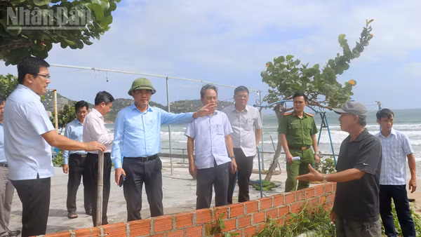 Chủ tịch Ủy ban nhân dân tỉnh Gia Lai Phạm Anh Tuấn kiểm tra công tác phòng, chống bão tại xã Cát Tiến.