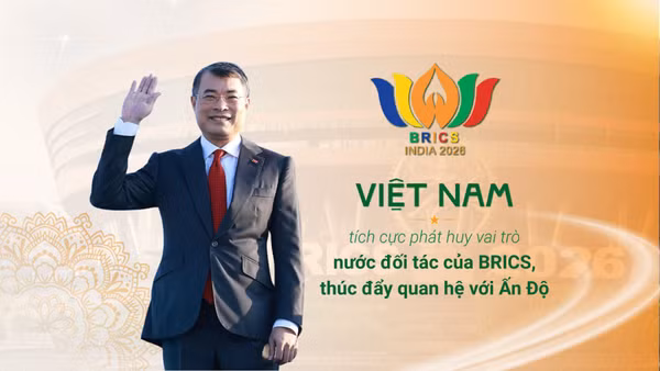 Việt Nam tích cực phát huy vai trò nước đối tác của BRICS, thúc đẩy quan hệ với Ấn Độ 