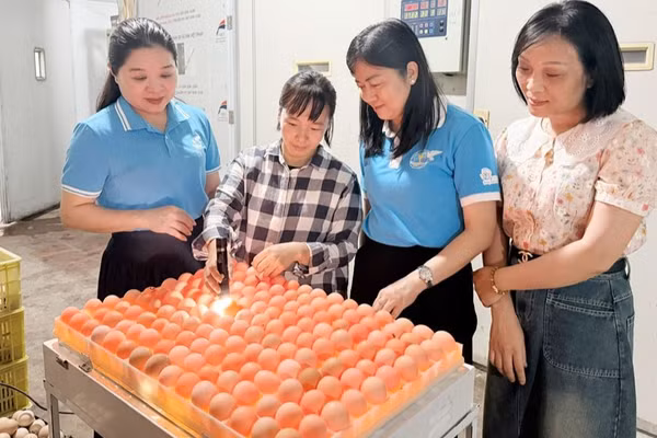 Lãnh đạo Hội Liên hiệp Phụ nữ thành phố thăm mô hình khởi nghiệp, phát triển kinh tế của phụ nữ tại xã Đại Lai. ( Ảnh: N.H)