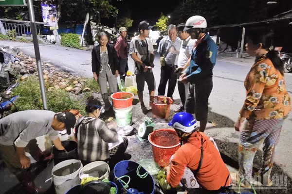 Khoảng nửa đêm, chợ cá đồng Hòa Mỹ bắt đầu nhộn nhịp. (Ảnh: VĂN ÚT)