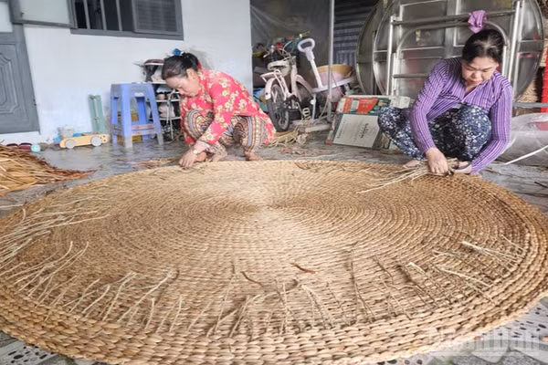 Vị Thủy lựa chọn 1-2 sản phẩm tiêu biểu để tập trung hỗ trợ, hướng đến OCOP 5 sao. (Ảnh: VĂN ÚT)