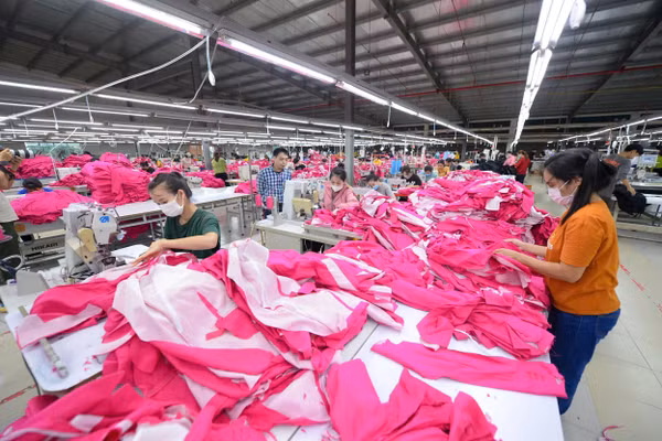 Theo dự báo, nhiều công việc có tính chất lặp đi lặp lại sẽ bị AI thay thế. Ảnh | THÀNH ĐẠT