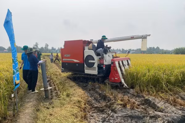 Đo lường chỉ số làm cơ sở cho dữ liệu vùng trồng lúa giảm phát thải. Ảnh: VB