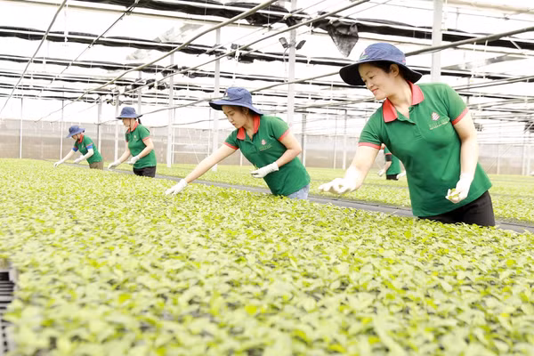 Sự hỗ trợ thiết thực, tạo sinh kế bền vững giúp nhiều hộ dân thoát nghèo. Ảnh: Nam Bình
