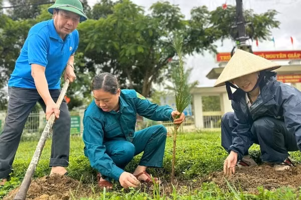 Xã Đăk Hà đặt mục tiêu trồng từ 2.500 - 2.700 cây trong đợt này. 