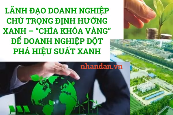 Phát triển bền vững đang trở thành điều kiện để doanh nghiệp tồn tại và cạnh tranh. (Ảnh: HNV)