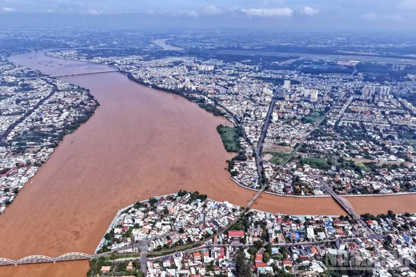 Sông Đồng Nai nhuộm màu phù sa mùa nước lũ.